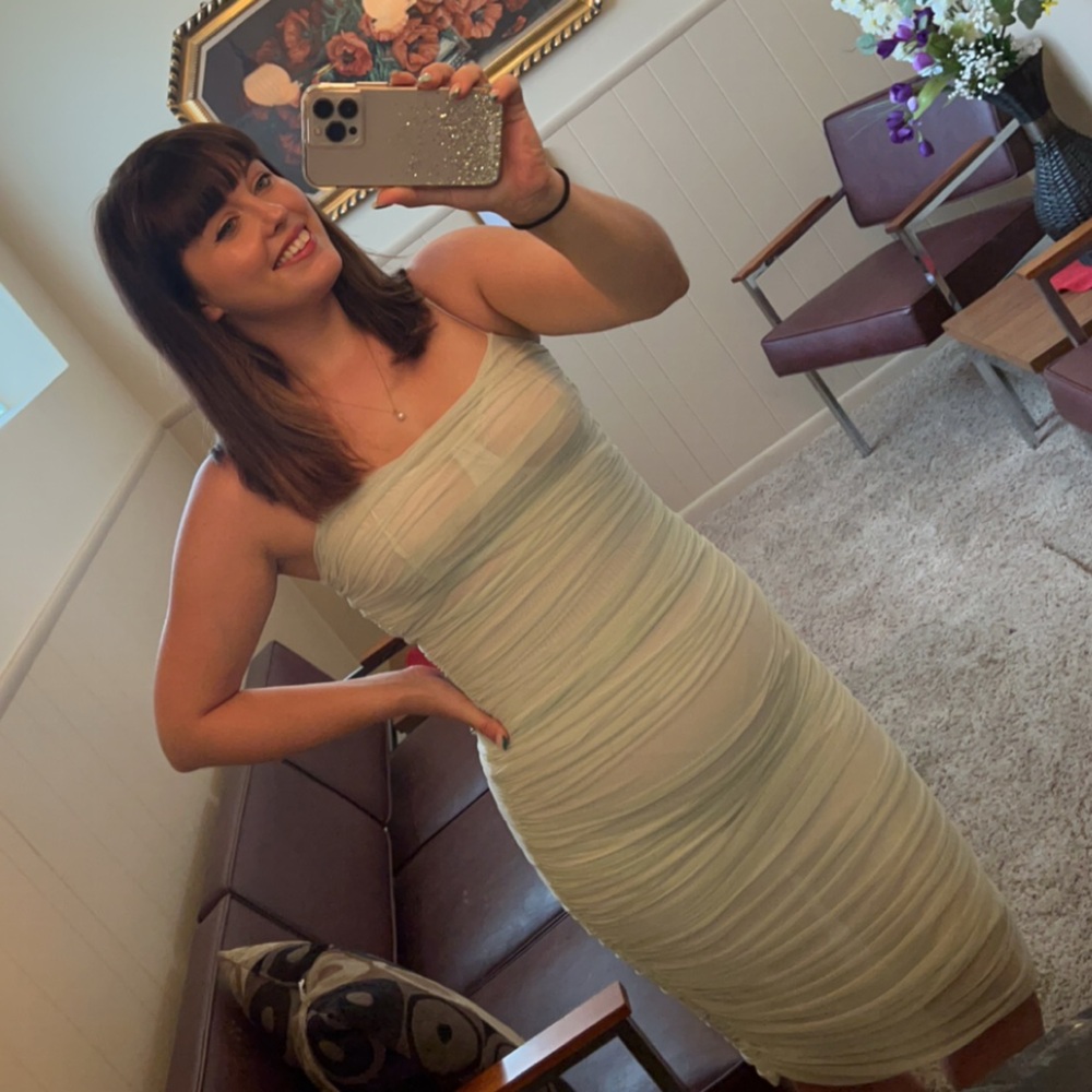 Aritzia Babaton Luxor Dress in Sage